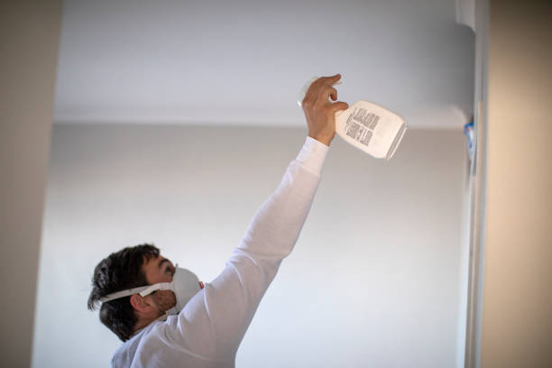 Best Post-Remediation Services in Falconer, NY