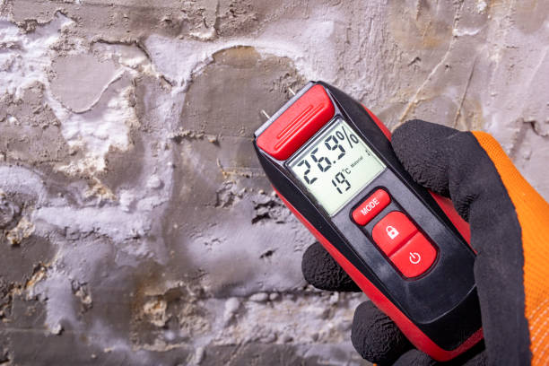 Best Residential Mold Remediation in Falconer, NY