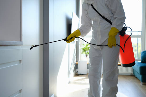 Best Mold Testing and Inspection Services in Falconer, NY