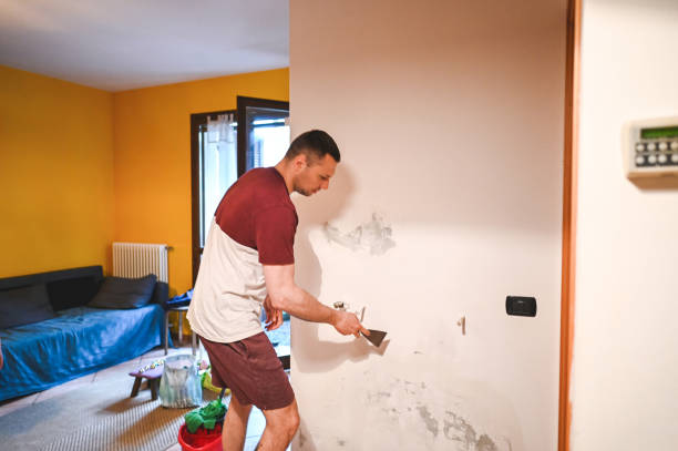 Best Residential Mold Remediation in Falconer, NY